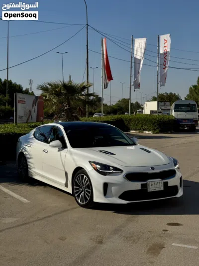 کیا Stinger EX 2
