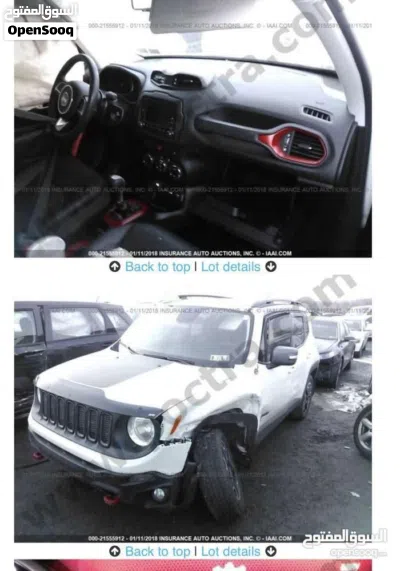 جيب رينيجادى Trailhawk 3