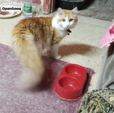 undefined 2