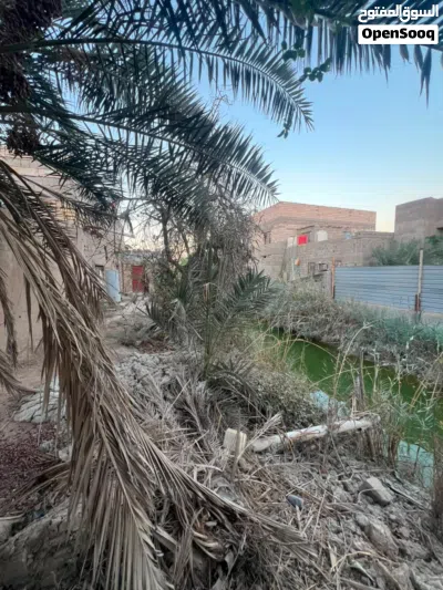 بيت مساحته دونم 2500متر 2