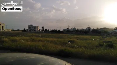 للبيع أرض سكنية مميزة أربعة دونمات في السرو الجنوبي 3