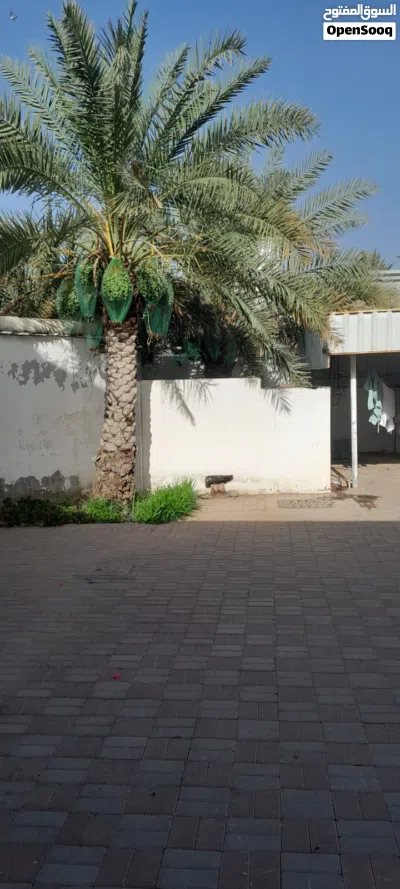 البيت المتكامل للبيع 4