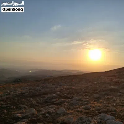 ارض في ماحص للبيع بسعر مغري جدا جدا من المالك مباشرة على ثلاث شوارع موقع مميز 3