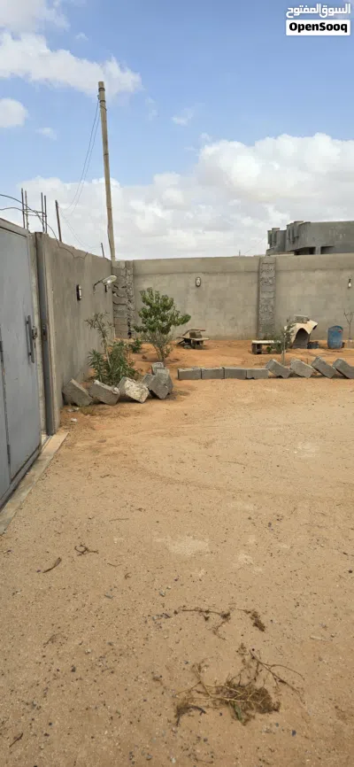 أرض بير العالم باتجاه السايح 3