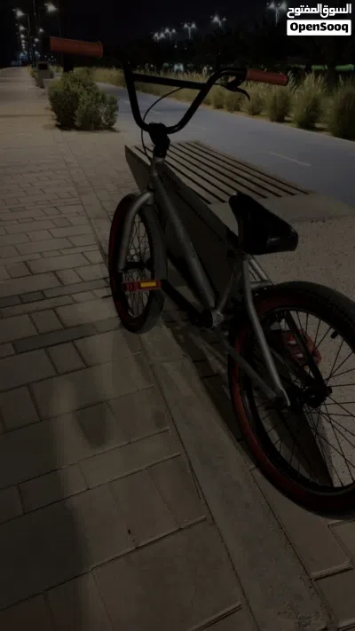 Dk raven Bmx everything is in good condition 3
