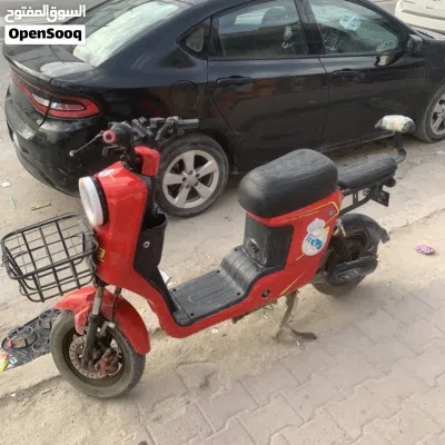 دراجة شحن صيني 2