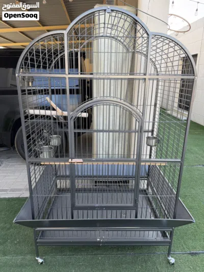 قفص للطيور شبه جديد للبيع في الشارقة  ⁦⁦Birds⁩⁩ ⁦⁦cage⁩⁩ ⁦⁦for⁩⁩ ⁦⁦sale⁩⁩ ⁦⁦in⁩⁩ ⁦⁦Sharjah⁩⁩  ⁦⁦1000⁩⁩ ⁦⁦DIRHAM⁩⁩ 2