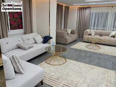 شقه مفروشه للايجار اليومي 3500 جنيه شارع شهاب المهندسين 2