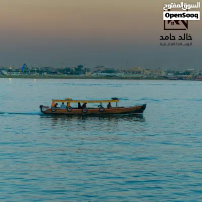 قطعه طابو ملك صرف للبيع الطوبه والنخيله 3