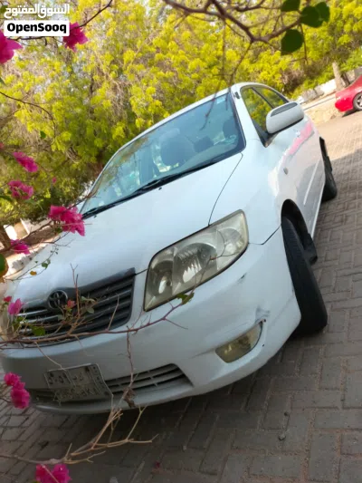 undefined 4