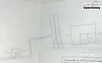 عرض ارض موسي كوسه كزيوني 3