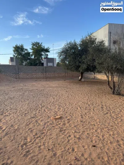 ارض سكنية بمساحة 453 2