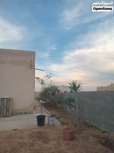 بيت مستقل للبيع 4