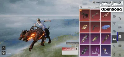 حساب ببجي للبيع سعره 500,000 2
