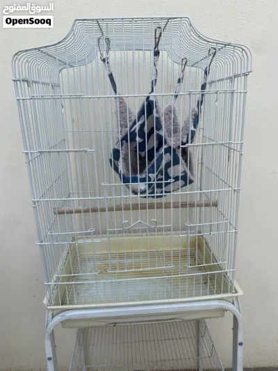 undefined 2