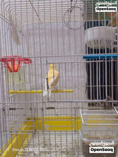 undefined 2