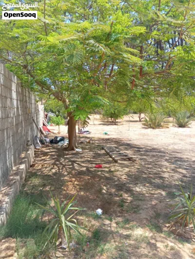 استراحه للايجار 4