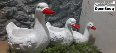قواوير زرع باشكال البط 4