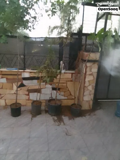 undefined 4