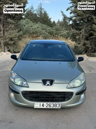 Peugeot 307 Standard 2