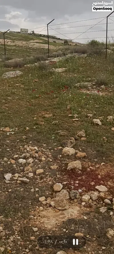 ارض للبيع .عين والمعمرية . 2