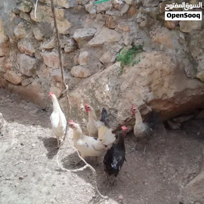 undefined 2