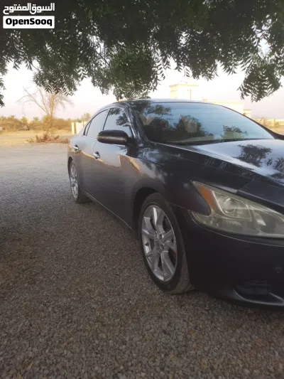 Nissan Maxima S 3