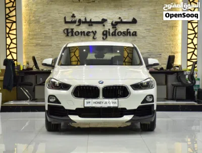 BMW X2 Series Standard 2