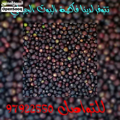 فاكهة البوت الجبلي 2