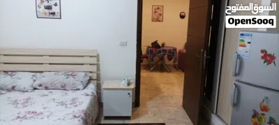 استديو فاخر للإيجار ،بالقرب من الجامعه الالمانيه الاردنيه، طريق مادبا الغربي شقة غرفة نوم 3