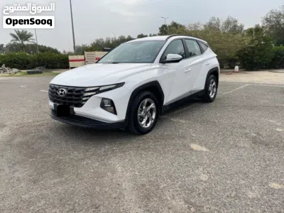 Hyundai Tucson Standard 2