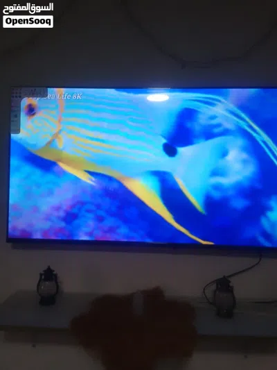 شاشة 43 جنرال فيو 2