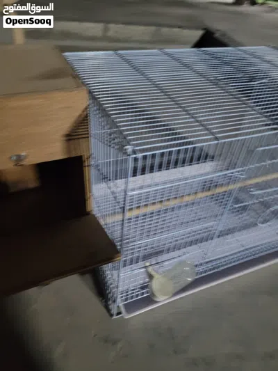 for male and female Big cage for sale with everything 2