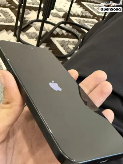 Iphone 16 pro max 256 Gp 4