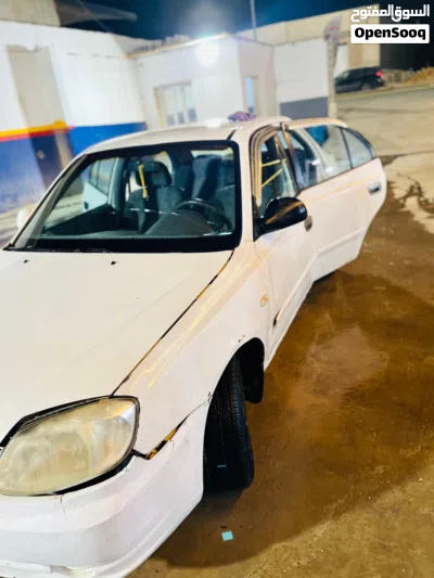 Hyundai Verna EX 4