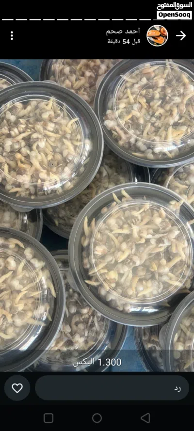 اللبيع دوك طازج جاهز 4