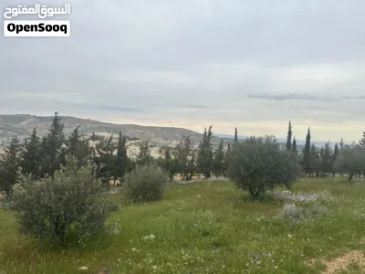 undefined 2