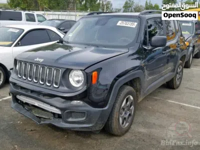 Jeep Renegade Sport 2