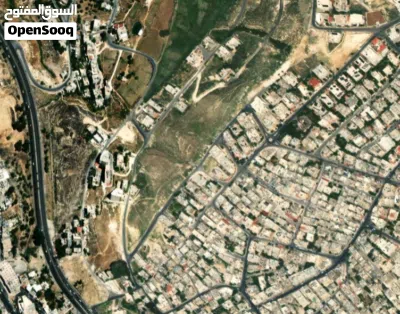 أرض سكنية مميزة للبيع في صويلح – موقع استراتيجي نادر 2