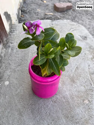 undefined 2