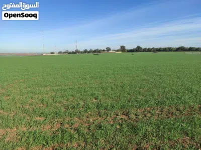 25 Hectares Titled Agricultural Land – Water & Electricity – Ideal Poultry Farm / High-Return Invest 4