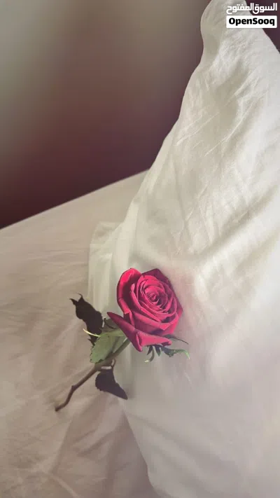 مطلوب فله للايجار 2