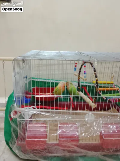 undefined 2