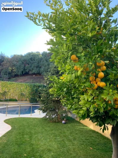 فيلا و قصر للإيجار في دابوق ( Property 48382 )-164938 4