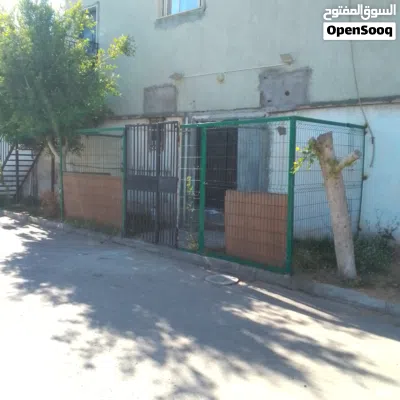 undefined 3