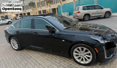 كاديلاك CT5 Luxury 2