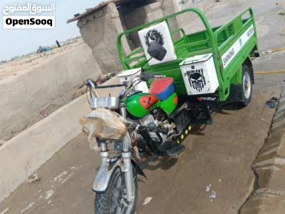ستوته جمر كربلاء23 رقم وسنويه تحويل ثانيهم يوم3100 4