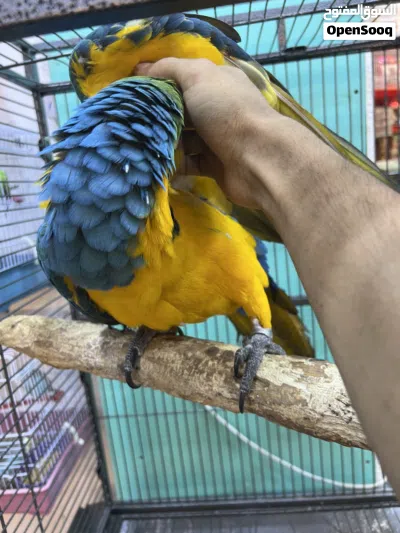 undefined 2