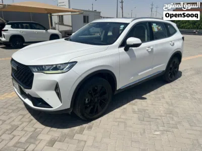 هاڤال H6 Standard 2