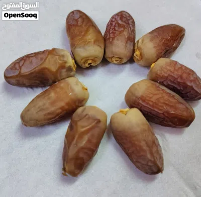 سح نغال الطائين 2026 2
